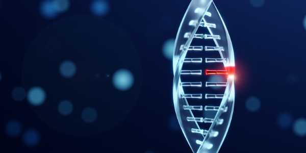 What Does Epigenetics Tell Us About Prenatal Health?